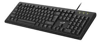 TECLADO CABLE GENIUS KB113 - ESPAÑOL